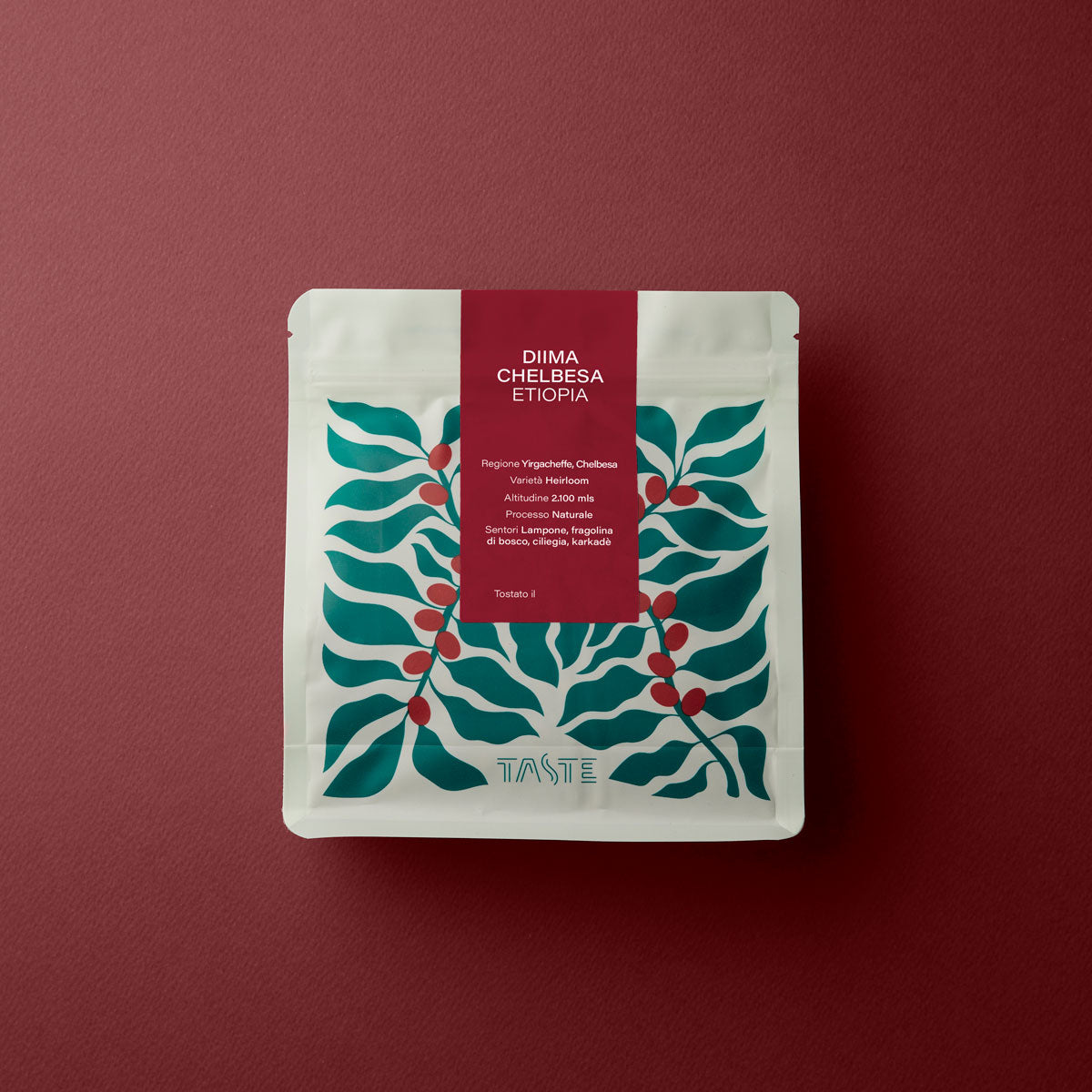 ETIOPIA DIIMA CHELBESA